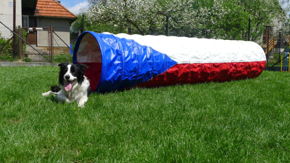 Official Agility Tunel for World Cup 2012 - 06