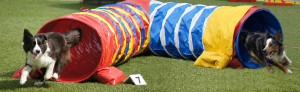 dsc01248---5.jpg