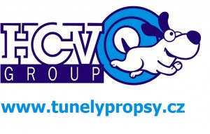 logo-hcv---s-www-cj.jpg