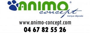 animo-concept-2.jpg