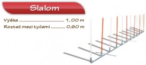 slalom---text.jpg